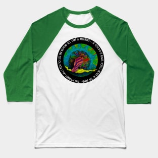 ”This Journey Calls You” Rainbow Crow Baseball T-Shirt